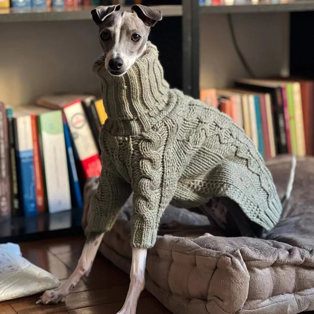 Whippet Jumpers