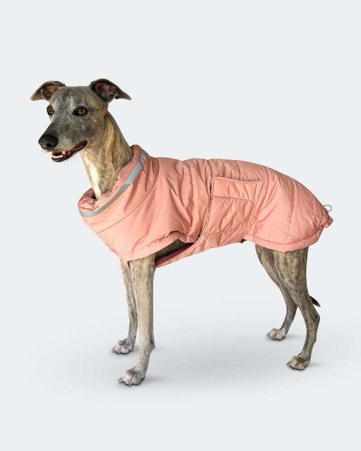 Pink Whippet Raincoat