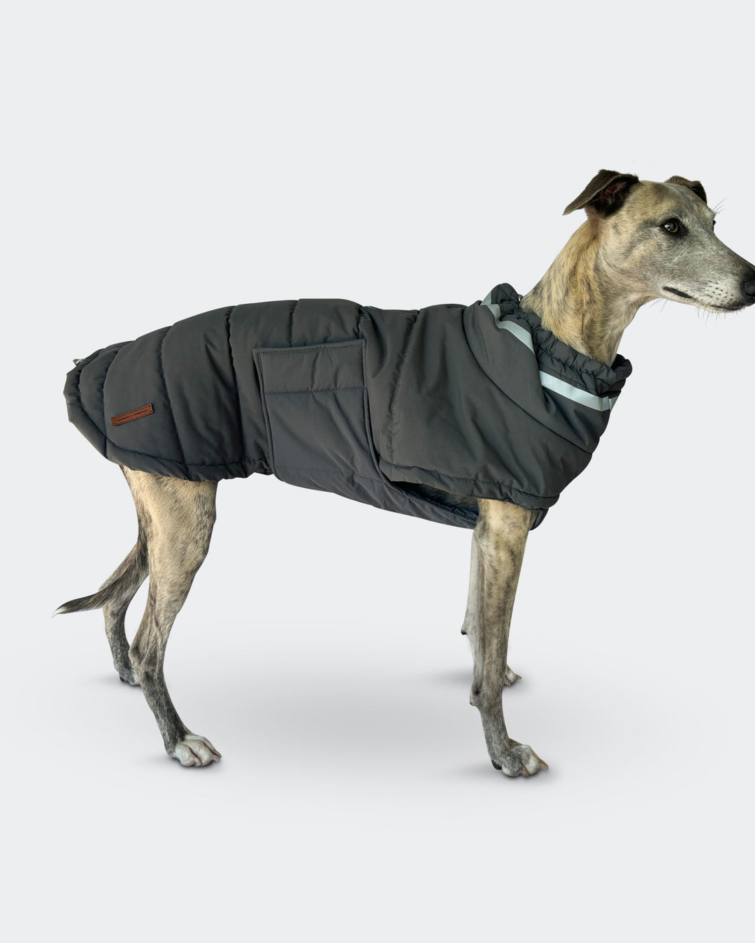 Grey Whippet Raincoat