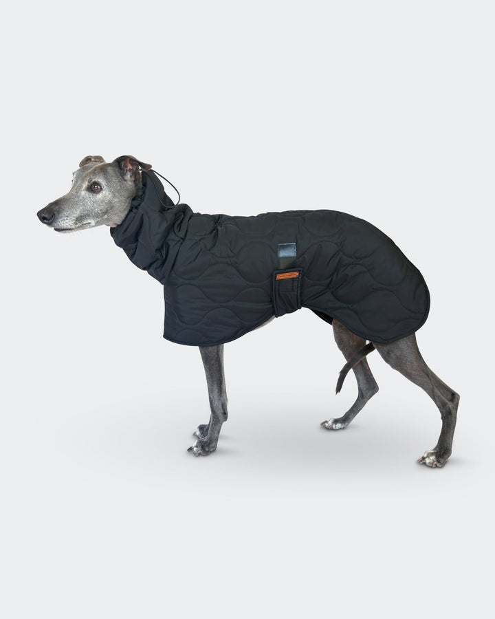 Black Whippet Raincoat