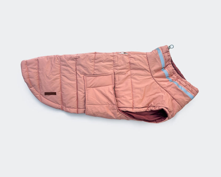 Pink Whippet Raincoat