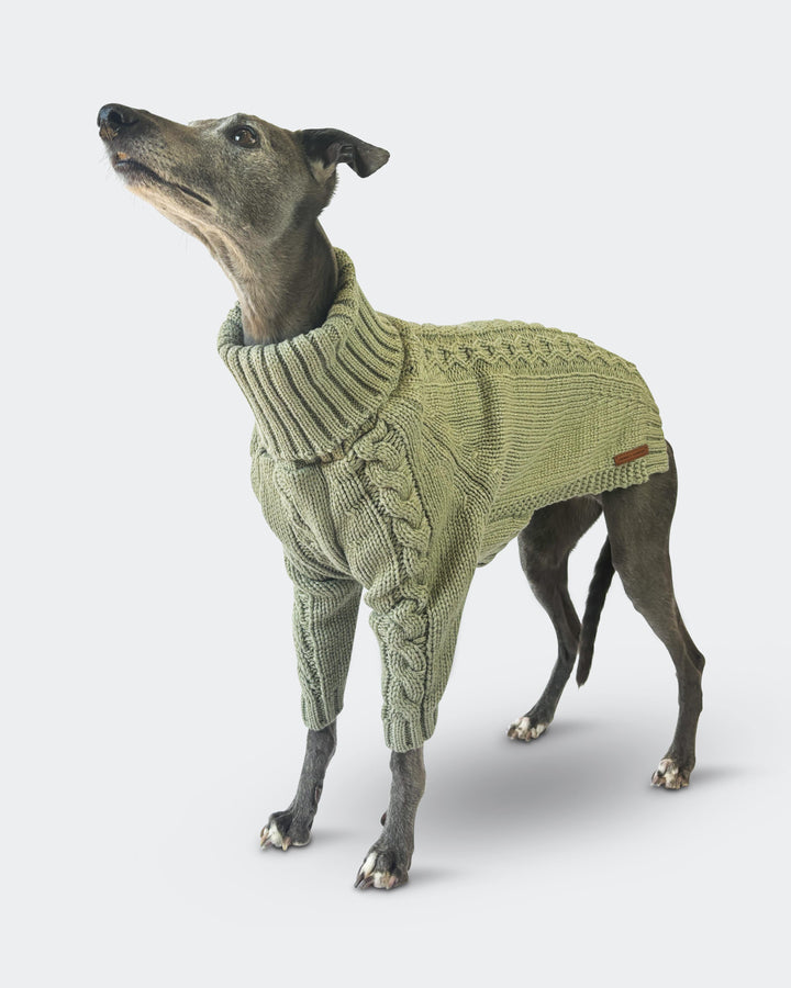 Warm Winter Thickened Dog Sweater