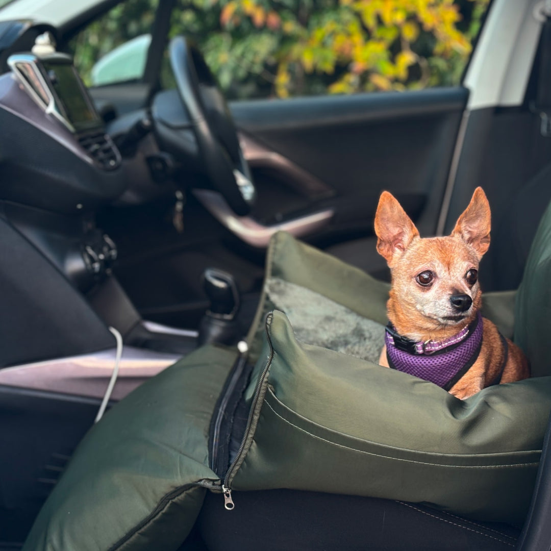 Deluxe Dog Travel Bed